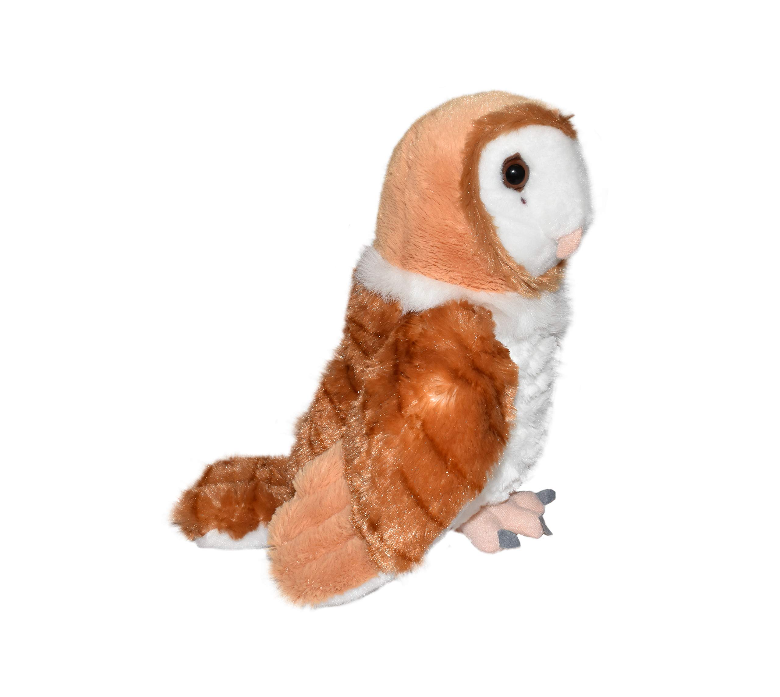 Amazon.co.jp: CK BARN OWL 12 : おもちゃ